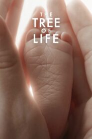 The Tree of Life 2011 on netflix