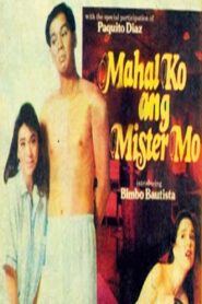Mahal Ko Ang Mister Mo 1991 on netflix