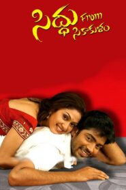 Siddu from Srikakulam 2008 on netflix