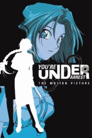 You’re Under Arrest: The Motion Picture 1999 on netflix