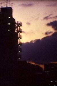 The Cat Night 1992 on netflix