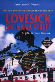 Lovesick on Nana Street 1995 on netflix