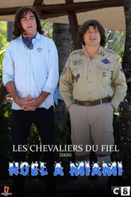 Les Chevaliers Du Fiel : Noël à Miami 2017 on netflix