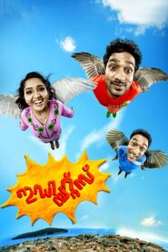 Idiots 2012 on netflix