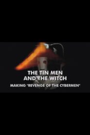 The Tin Men and the Witch 2010 on netflix