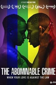 The Abominable Crime 2013 on netflix