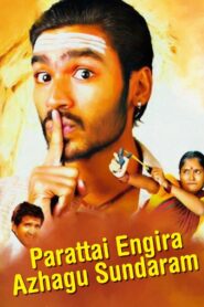 Parattai Engira Azhagu Sundaram 2007 on netflix
