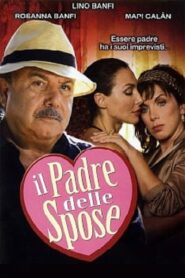 Il padre delle spose 2006 on netflix