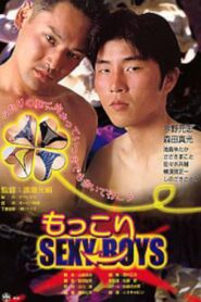 Fluffy Sexy Boys 2001 on netflix