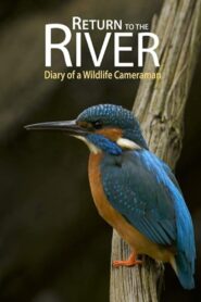 Return to the River 2015 on netflix