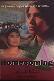 Homecoming 2003 on netflix