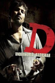 D 2005 on netflix