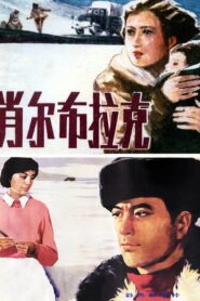 肖尔布拉克 1984 on netflix