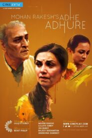 Adhe Adhure 2014 on netflix
