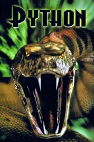 Python 2000 on netflix