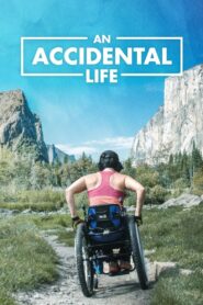 An Accidental Life 2022 on netflix
