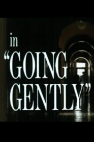 Going Gently 1981 on netflix