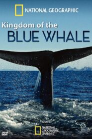 Kingdom of the Blue Whale 2009 on netflix