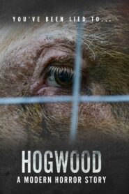 Hogwood: A Modern Horror Story 2020 on netflix