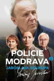 Policie Modrava Jaroslava Soukupa 2022 on netflix