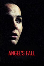Angel’s Fall 2005 on netflix