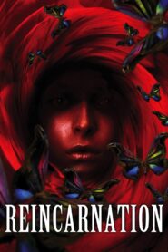 Reincarnation 2005 on netflix
