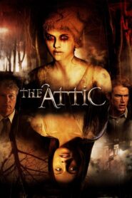 The Attic 2006 on netflix