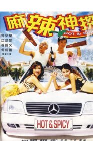 Spice Cop 2002 on netflix