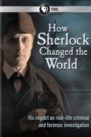 How Sherlock Changed the World 2013 on netflix