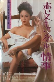 Red Scandal: Affair 1982 on netflix