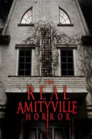 The Real Amityville Horror 2005 on netflix