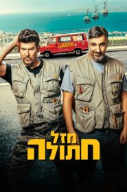 Cat’s Luck 2024 on netflix