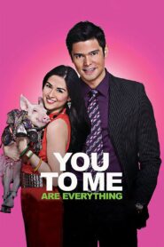 You to Me Are Everything 2010 on netflix