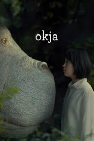 Okja 2017 on netflix