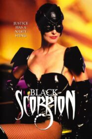 Black Scorpion 1995 on netflix