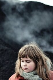 Stray 2013 on netflix