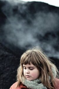 Stray 2013 on netflix