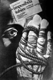 The Impossible Love 1984 on netflix