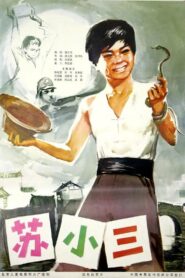 苏小三 1981 on netflix
