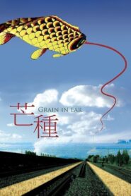 Grain in Ear 2005 on netflix