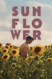 Sunflower 2024 on netflix
