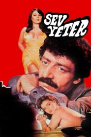 Sev Yeter 1984 on netflix