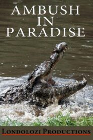 Ambush in Paradise 1999 on netflix