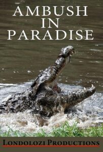 Ambush in Paradise 1999 on netflix