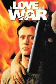 In Love and War 1987 on netflix