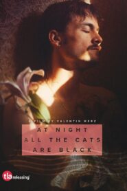 At Night All the Cats Are Black 2023 on netflix
