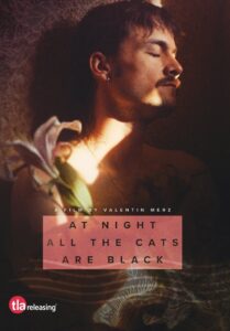 At Night All the Cats Are Black 2023 on netflix