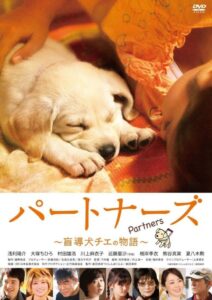 Partners 2010 on netflix
