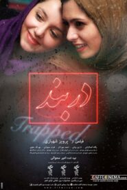 Trapped 2013 on netflix