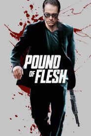 Pound of Flesh 2015 on netflix